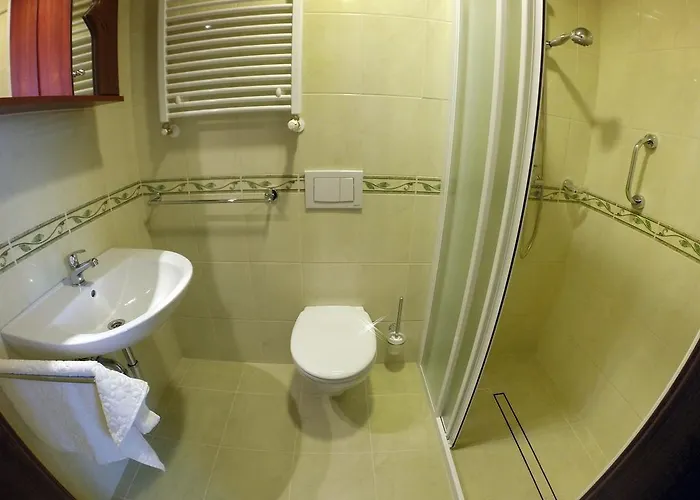 Hotel Meridian Thermal Akupunktura Es Termeszetgyogyaszati Centrum 3*